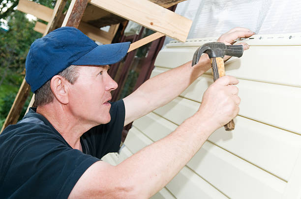 Best Stone Veneer Siding  in Matteson, IL