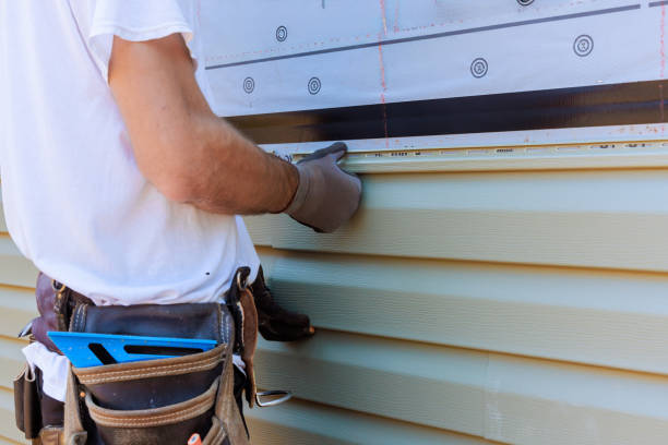Affordable Siding Repair and Maintenance Services in Matteson, IL